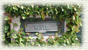 u.s. mail